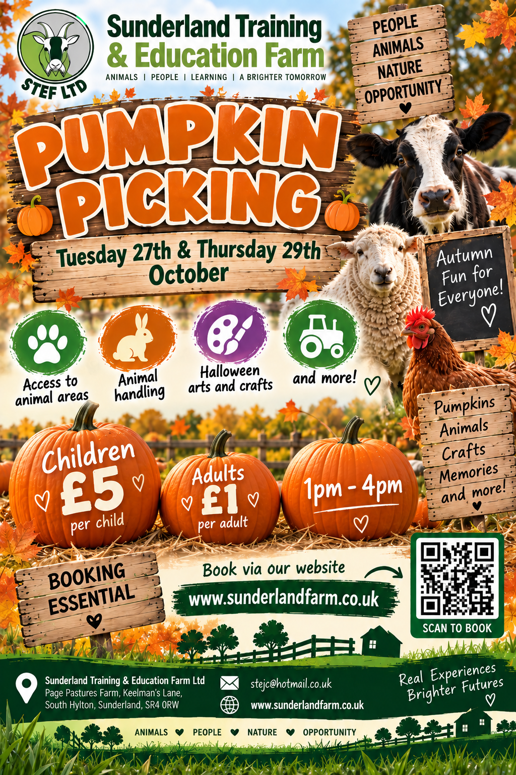 Pumpkin Picking